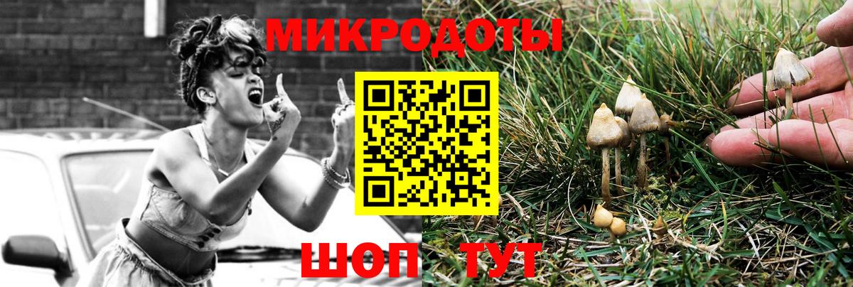 Рославль  Псилоцибиновые грибы Psilocybe  Вход с VPN  Галлюциногенные грибы Psilocybine cubensis 