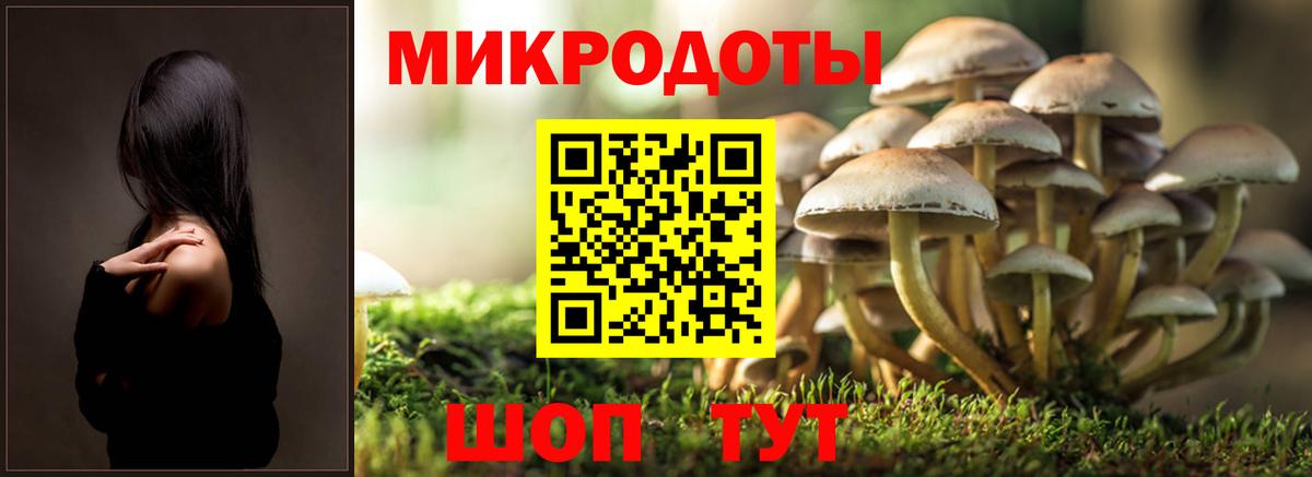Галлюциногенные грибы Psilocybine cubensis Рославль